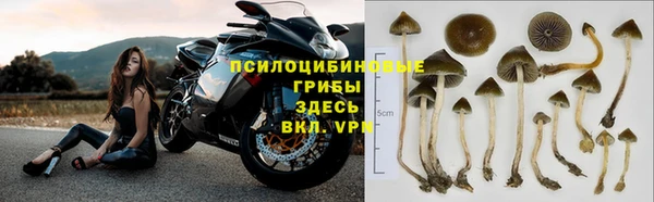 амф Михайлов