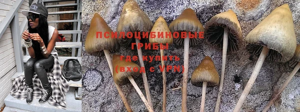 амф Михайлов