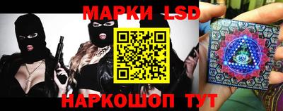 МДПВ Кингисепп