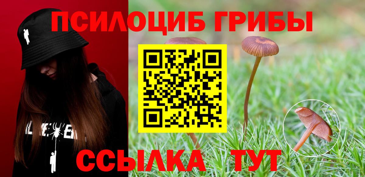 Галлюциногенные грибы Magic Shrooms  Вход с VPN  Котовск 