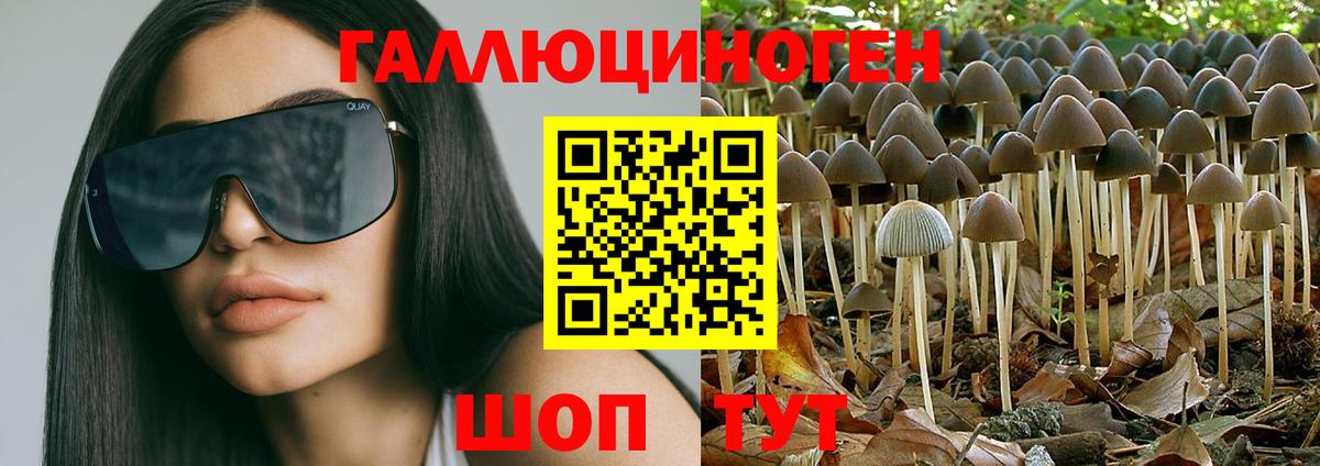 Галлюциногенные грибы Magic Shrooms  купить наркотики цена  Котовск 