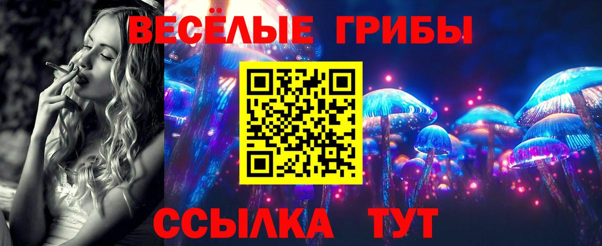 Галлюциногенные грибы Magic Shrooms Котовск