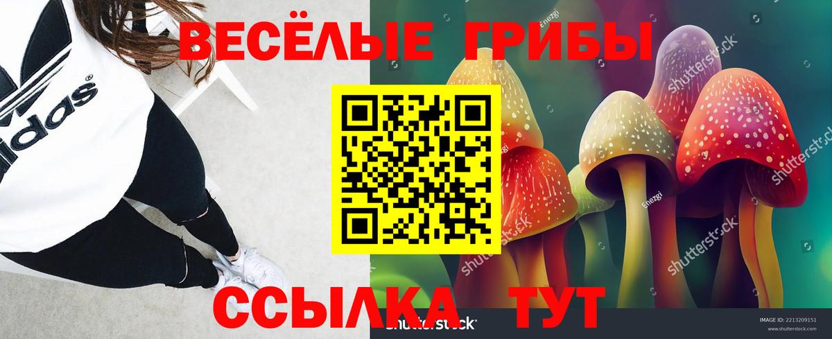 Псилоцибиновые грибы мухоморы Котовск
