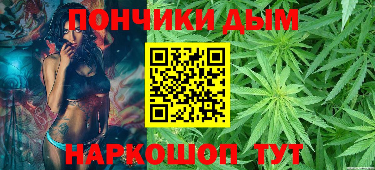Бошки Шишки LSD WEED  Каннабис семена  Котовск 